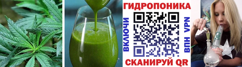 купить наркотики сайты  Томск  Canna-Cookies марихуана 