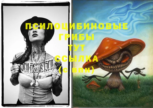 альфа пвп Богданович