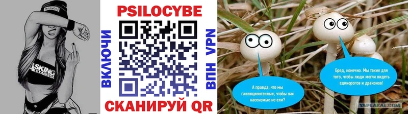 Псилоцибиновые грибы мухоморы  где найти   Томск 